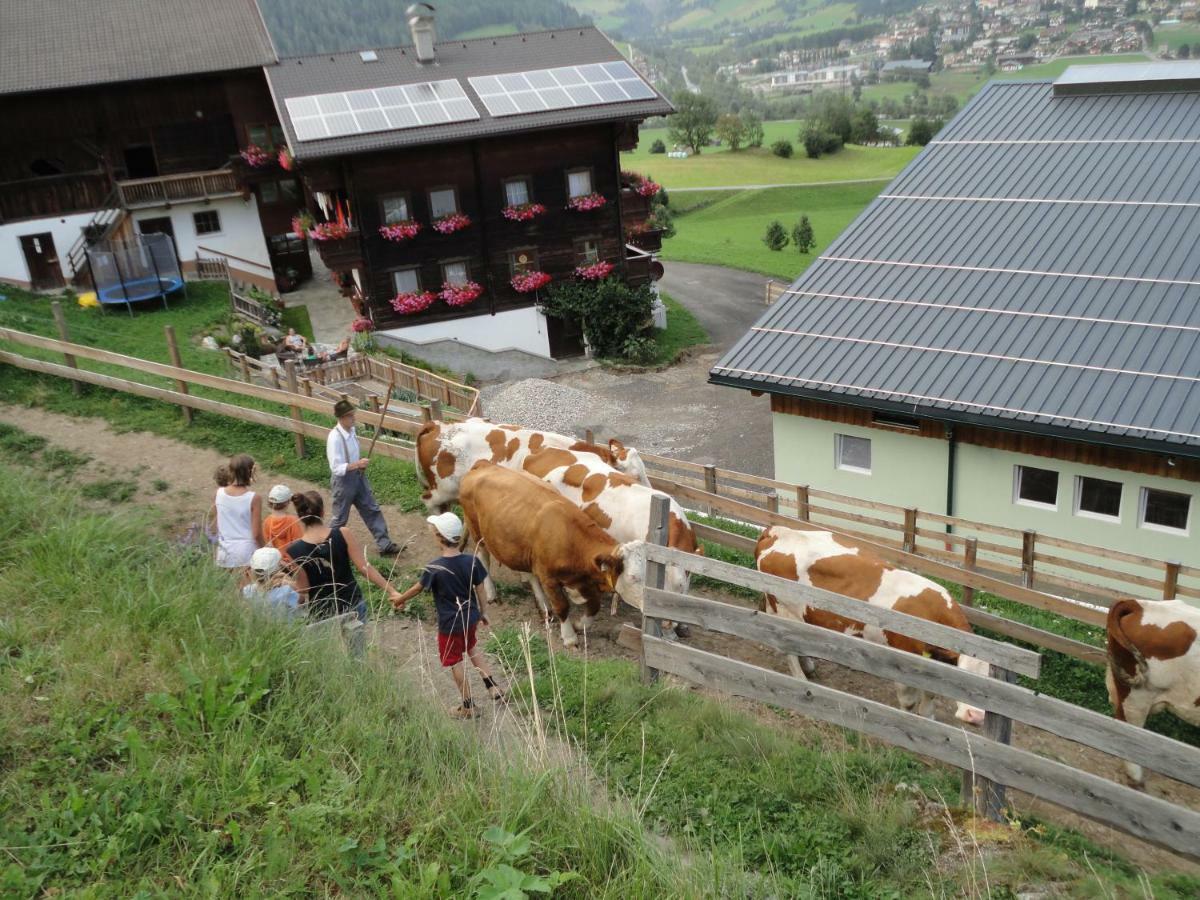 Bauernhof Bethuber Villa Matrei in Osttirol Eksteriør bilde